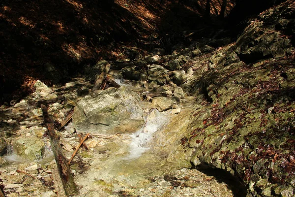 A wet trail running through streams in the Slovak Paradise Natio — Stock Photo, Image