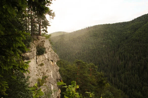 大きな岩と山林の眺め — ストック写真