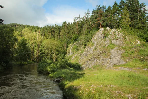 Patikadan yakın nehir ve orman tarafından kaya