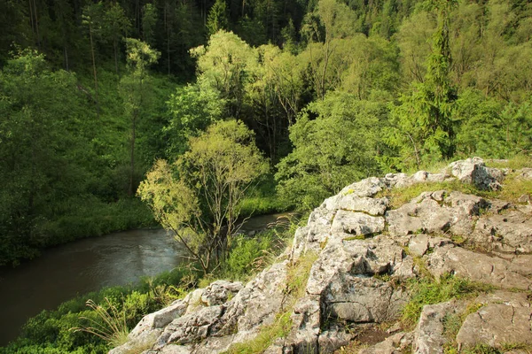 Patikadan yakın nehir ve orman tarafından kaya