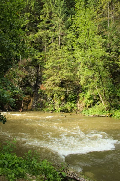 Il fiume scorre attraverso le aree del Paradiso Slovacco Nationa — Foto Stock