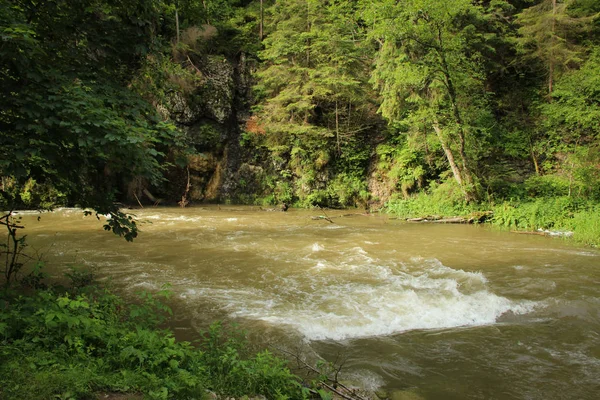 Nehir Slovakça cennet Nationa alanlarından akar