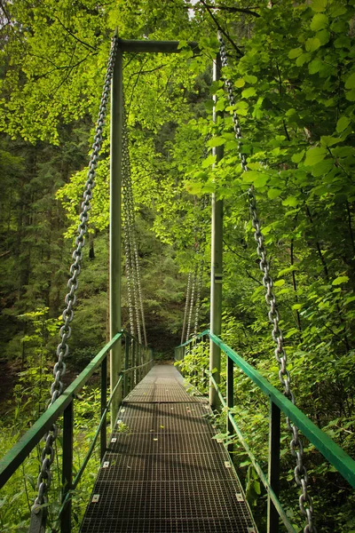 Slovakça Paradise Nehri üzerinde bir çelik süspansiyon köprüsü 