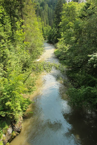 슬로바키아 파라다이스 네이션나 지역을 흐르는 강 — 스톡 사진