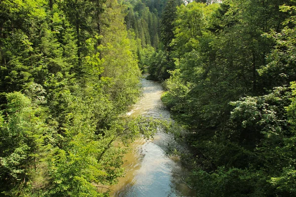 Slovakça Paradis 'te daha fazla orman yerlerine giden bir iz