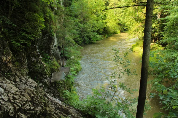 Szikla a folyónál és az erdőben a nyomvonal közelében — Stock Fotó