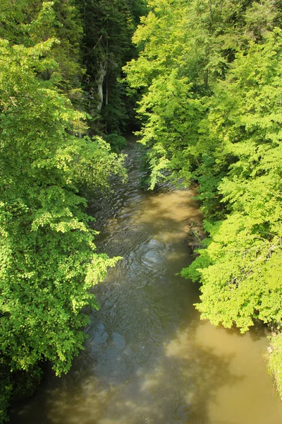 河流流经斯洛伐克天堂民族区 — 图库照片