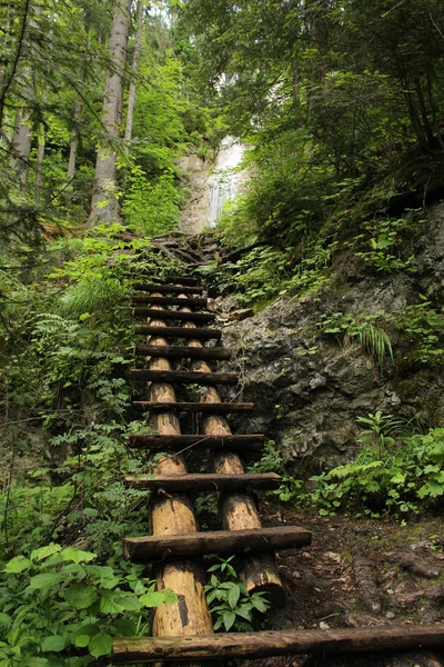 S içinde ahşap merdivenler ile bir şelale yoluyla tehlikeli iz