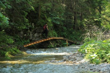 Slovak Paradise Nationa güzel geçitlerde bir turist