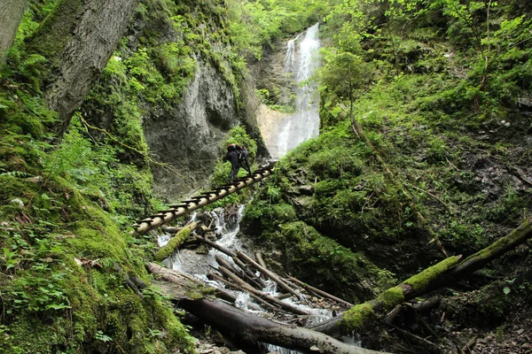 Slovak Paradise Nationa güzel geçitlerde bir turist — Stok fotoğraf