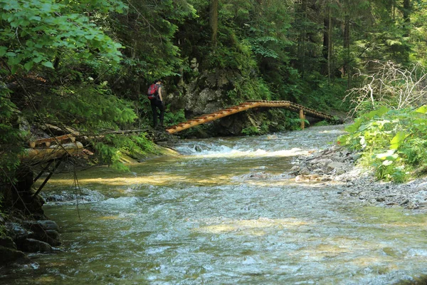 スロバキアの楽園国家の美しい峡谷の観光客 — ストック写真