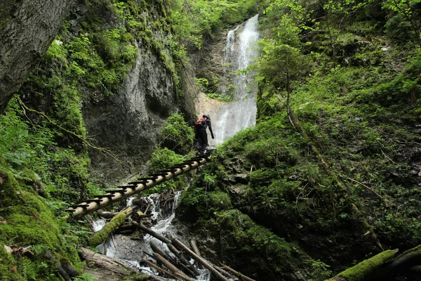 Slovak Paradise Nationa güzel geçitlerde bir turist — Stok fotoğraf