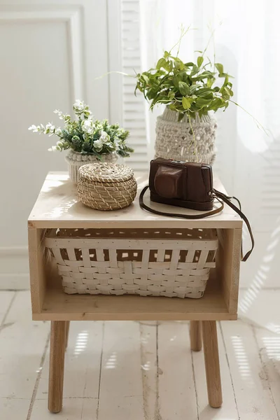 Home interior decoration with green small plant pots, basket and photocamera case on a table. Cozy interior concept — Stock Photo, Image