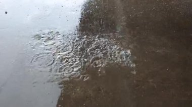 yağmurlu günde su birikintisi üzerine düşen yağmur damlaları yakın. yüzeyde daire deseni. su sıçraması. Kötü hava durumu