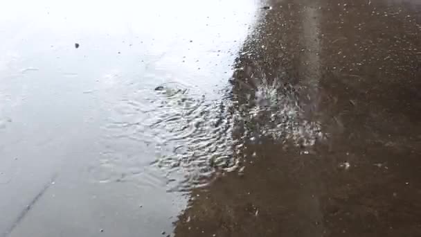 Cerca de gotas de lluvia cayendo en charco en el día lluvioso. patrón de círculo en la superficie. salpicaduras de agua. Mal tiempo — Vídeos de Stock