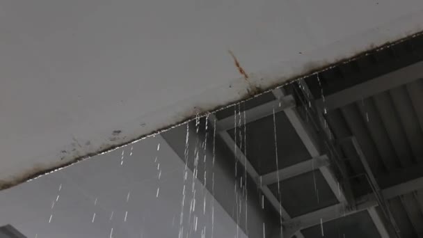 雨の間に水滴が屋根から地面に落ちる。薄暗い灰色の雨天。水が落ちてくる下の眺め — ストック動画