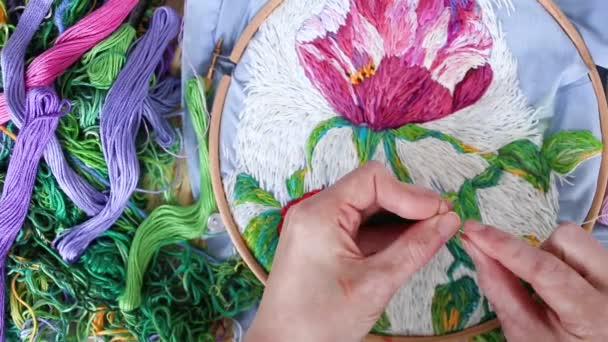 Female Hands Vitiligo Thread Needle Background Embroidery Hoop Blue Embroidered — Stockvideo
