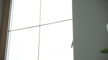 Genç, esmer, atkuyruklu güzel bayan pencereyi açıyor, yakın plan.