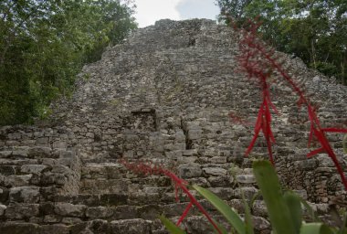 Piramit, Coba arkeolojik kalıntıları Maya kültür sitesi, Quintana Roo, Meksika