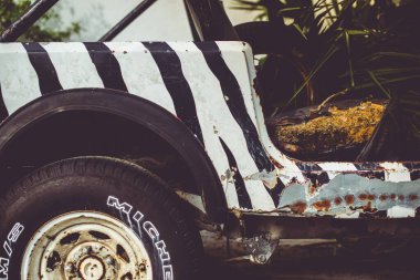 İçinde Zebra deseni ve bitkiler olan terk edilmiş bir arabanın görüntüsü.