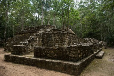 Piramit, Coba arkeolojik kalıntıları Maya kültür sitesi, Quintana Roo, Meksika