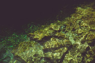 Temiz su, Xcacelito Meksika Cenote, doğal çukur, subatan