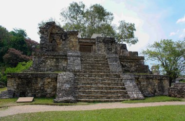 Palenque, Meksika 'da arkeolojik Maya bölgesi harabeleri