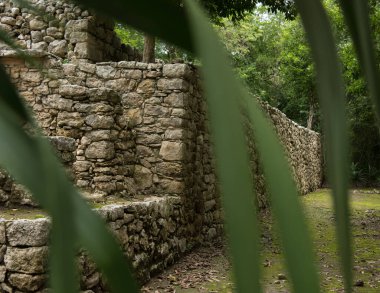 Coba arkeolojik kalıntıları Quintana Roo, Meksika 'daki Maya Piramidinin yakınında.