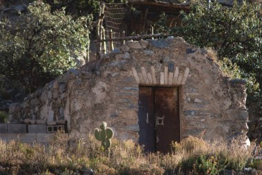 Real de Catorce Meksika 'da sabah, yeşillik, geleneksel ev
