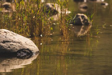 Suya yakın, Boca de la Sierra, Miraflores kasabası, Büyük Kayalar 