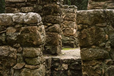 Coba arkeolojik kalıntıları Quintana Roo, Meksika 'daki Maya Piramidinin yakınında.