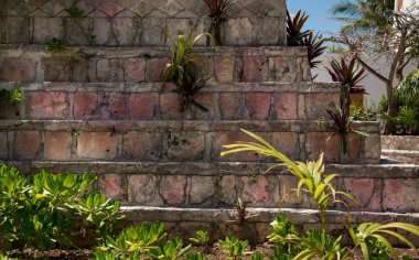 Bitkilerle dolu eski tuğla duvar. 