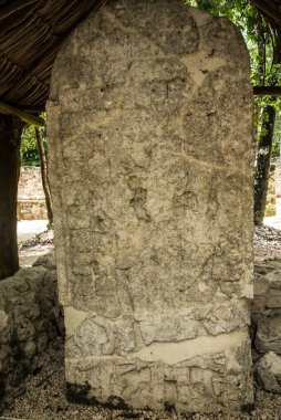 Piramit, Coba arkeolojik kalıntıları Maya kültür sitesi, Quintana Roo, Meksika