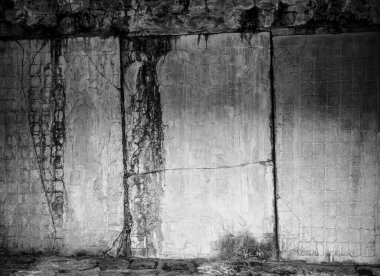 Meksika Palenque 'de, Meksika' da arkeolojik Maya kalıntıları bulunan önemli heykel duvar resimleri.