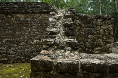 Coba arkeolojik kalıntıları Quintana Roo, Meksika 'daki Maya Piramidinin yakınında.