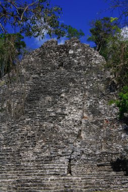 Piramit, Coba arkeolojik kalıntıları Maya kültür sitesi, Quintana Roo, Meksika
