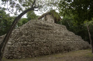 Piramit, Coba arkeolojik kalıntıları Maya kültür sitesi, Quintana Roo, Meksika