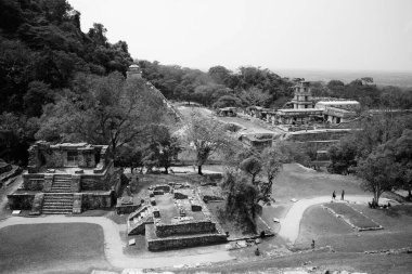 Palenque 'nin geniş açılı hava manzarası, arkeolojik Maya bölgesi Meksika' da harabe.