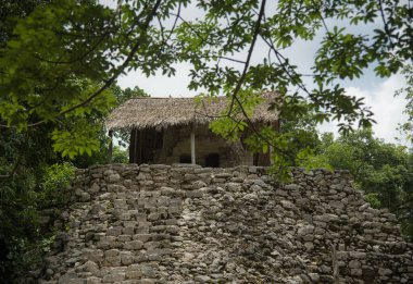 Piramit, Coba arkeolojik kalıntıları Maya kültür sitesi, Quintana Roo, Meksika