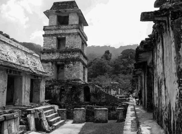 Wieża Obserwatorium Palenque Archeologiczne Ruiny Majów Meksyku Czarno Białe — Zdjęcie stockowe