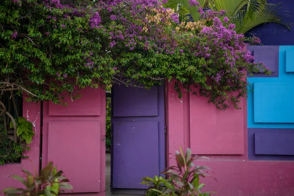 Violettes Haus Und Blumen Auf Büschen Tequisquiapan Mexiko — Stockfoto