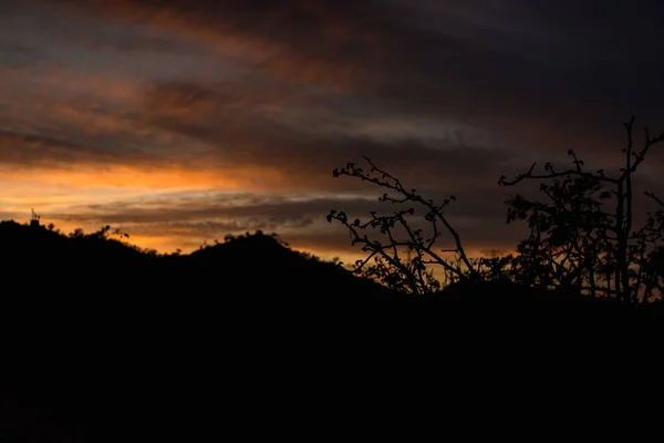 Maravilhoso Pôr Sol San José Del Cabo Los Cabos México — Fotografia de Stock