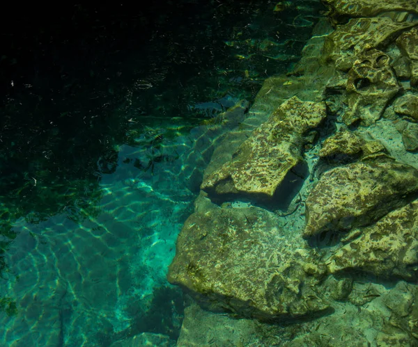 Temiz Xcacelito Meksika Cenote Doğal Çukur Subatan — Stok fotoğraf