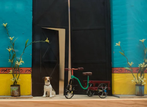 Tequisquiapan Queretaro Meksika Eve Yakın Köpek Bisiklet — Stok fotoğraf