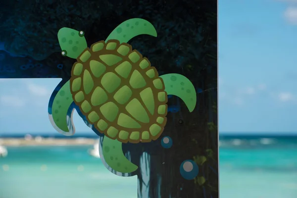 Akumal Mexican Caribbean Beach Green Turtle Decoration — 图库照片