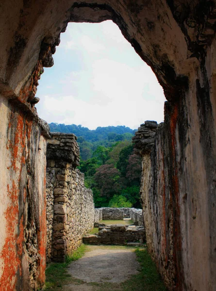 Mayan Corbel Boltív Palenque Palota Egyik Folyosóján Régészeti Maják Romjai — Stock Fotó
