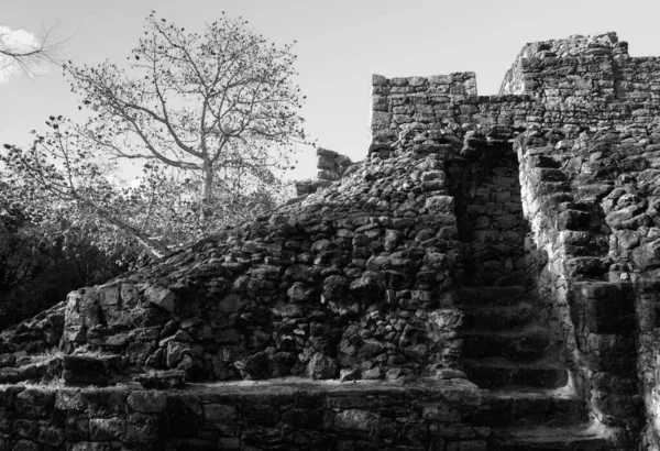 Pirâmide Coba Ruínas Arqueológicas Local Cultura Maia Quintana Roo México — Fotografia de Stock