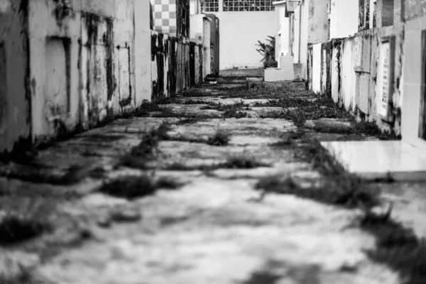 Begraafplaats Cozumel Mexico Kiezelweg Zwart Wit — Stockfoto