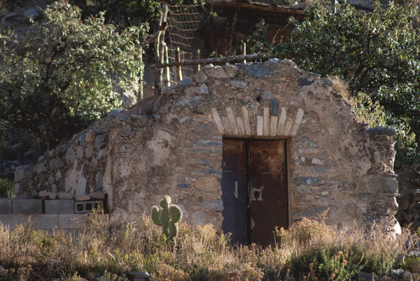 Mattina Real Catorce Città Messicana Fogliame Casa Tradizionale — Foto Stock