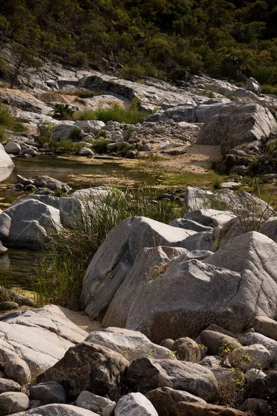 Stones Rocks Rain Filtered Water Baja California Mexico — Stock Photo, Image